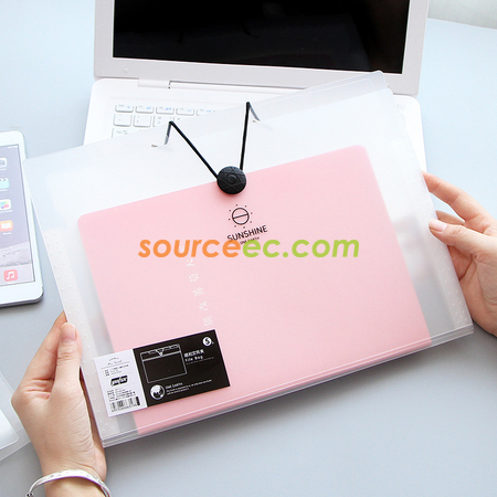 Accordion File Folder with Front flap