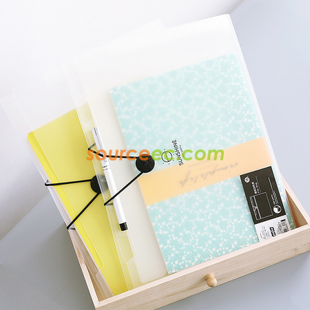 Accordion File Folder with Front flap