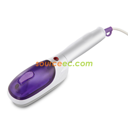 Travel Portable Iron