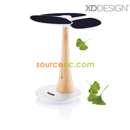Ginkgo Ginkgo Tree Solar