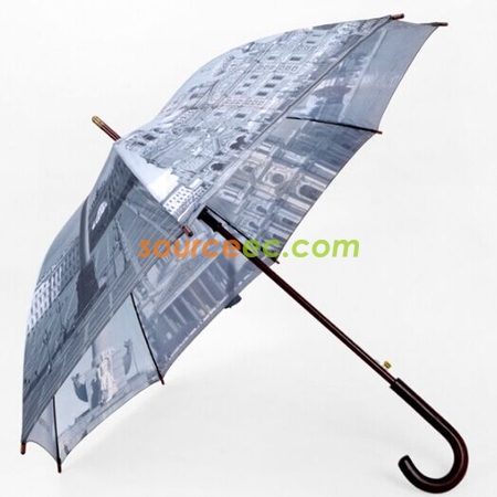 Color 30-inch Golf Umbrella