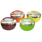 Apple Stainless Steel Lunch Box