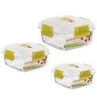 Rectangle Shape Transparent Lunch Box