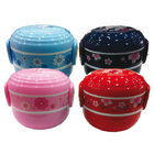 Double Layer Japanese Food Container