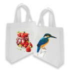 Recycle Bag