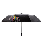 Color Changing Umbrella