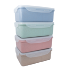 Eco Lunch Box With Divider