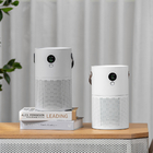 Negative Ion Air Purifier