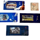 3D Stereoscopic Ticket Stub