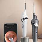 Luminous visual ear pick