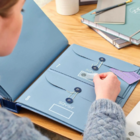 Organizer for accordion folders